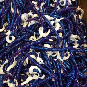 Curly Tail Worms   Electricblue / Whitetail